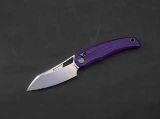 NIX-1